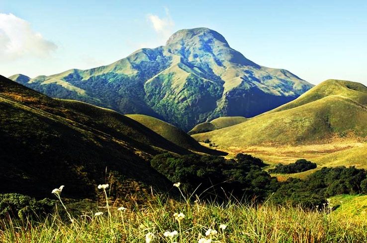 8. Rajamalai Eravikulam National Park